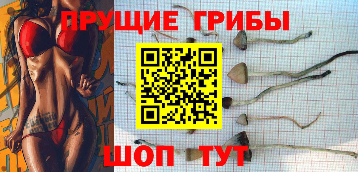 Псилоцибиновые грибы прущие грибы Жигулёвск